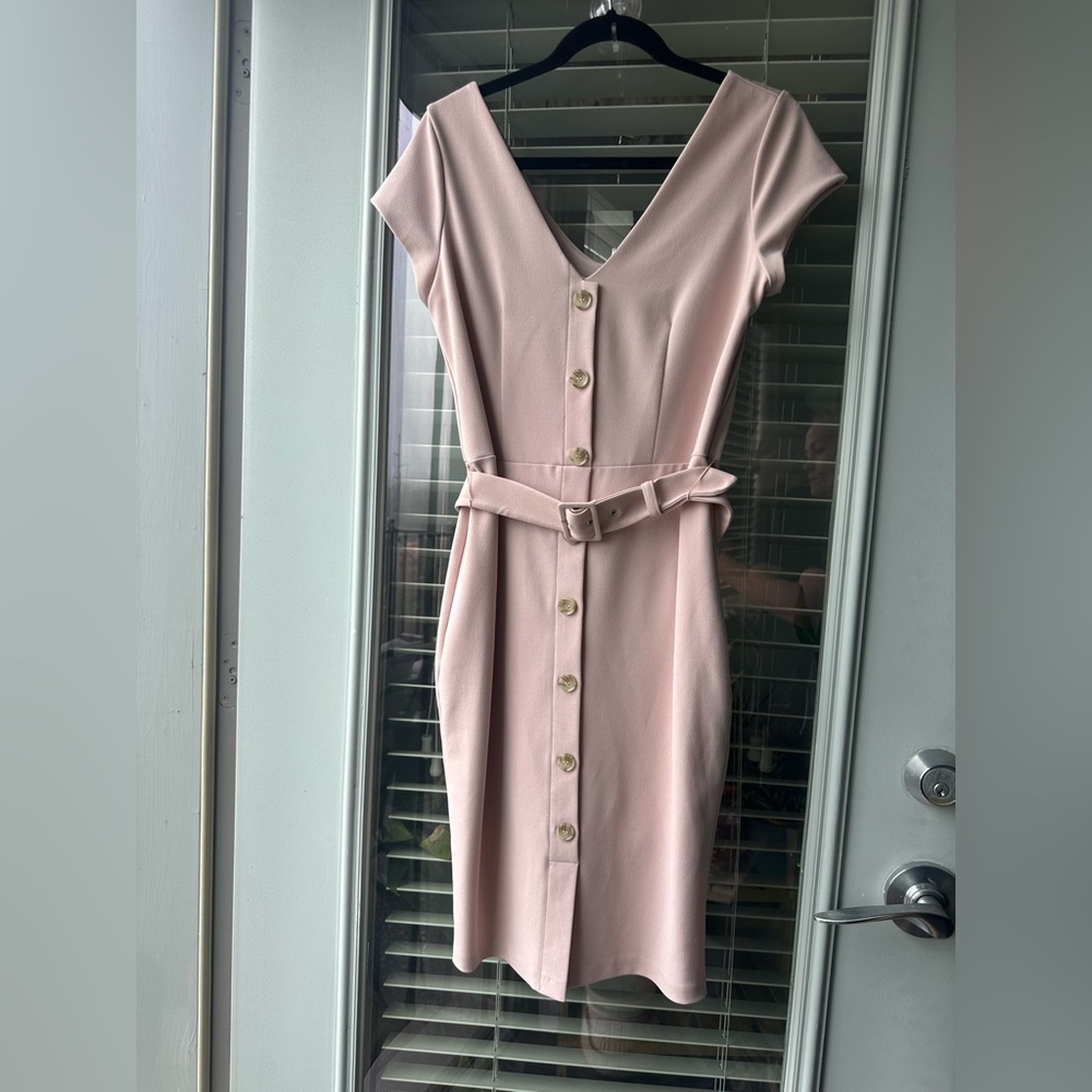 Express Belted Button Front Pink Sheath Dress - Picture 5 of 9